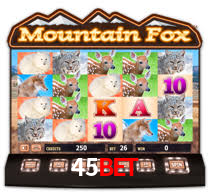 45bet,45bet.com